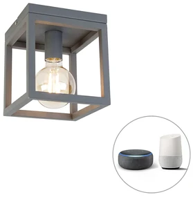 Priemyselné inteligentné stropné svietidlo tmavosivé vrátane Wifi G95 - Cage