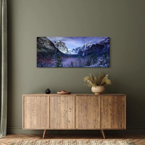 Obraz - Yosemite, USA (120x50 cm)