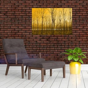 Obraz lesa pri západe slnka (90x60 cm)