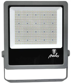 LED Vonkajší reflektor PROFI PLUS LED/300W/230V 5000K IP66