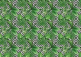 Fototapeta - Geometria a listy (254x184 cm)