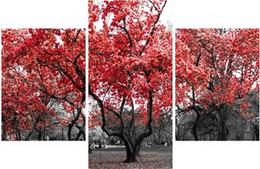 Obraz - Červené stromy, Central Park, New York (90x60 cm)