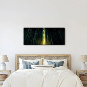 Obraz temného lesa (120x50 cm)