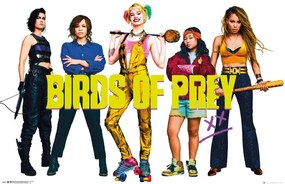 Plagát, Obraz - Birds of Prey: Podivuhodná premena Harley Quinn - Group, (91.5 x 61 cm)
