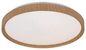 Rabalux 3500 stropné LED svietidlo