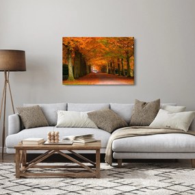 Obraz - Jeseň Alej stromov (90x60 cm)