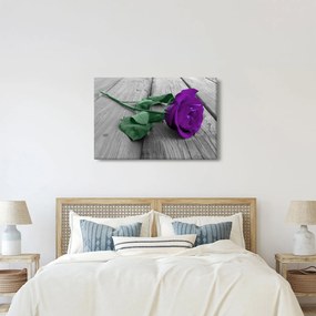 Obraz - Fialová ruža so zelenou stonkou (90x60 cm)