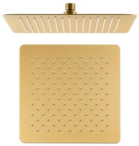Hlavová sprcha z nehrdzavejúcej ocele v zlatej farbe Slim – Sapho