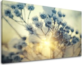 Obraz na stenu KVETY KV068E11 - 30x40 cm