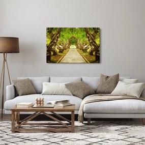 Obraz - Živý tunel z plumérií (90x60 cm)