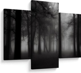 Obraz - Les v hmle (90x60 cm)