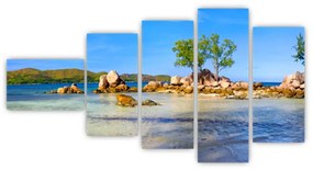 Panorama exotiky, obraz