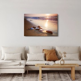 Obraz - Mušle (90x60 cm)