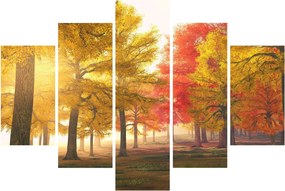 Obraz jesenných stromov (150x105 cm)