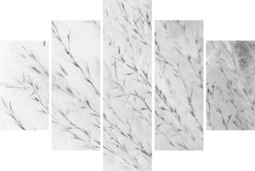 Obraz - Pampas grass N⁰2 (150x105 cm)