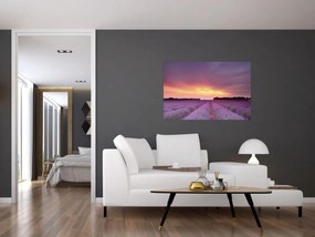 Obraz - Levanduľové pole (90x60 cm)