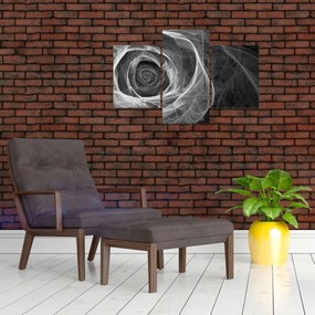 Obraz - Abstraktné ruže čiernobiela (90x60 cm)