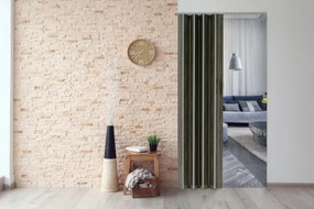 Skladacie dvere 001P grafitový dub matný 100 cm