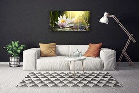 Obraz Canvas Vodné lilie slnko rybník 120x60 cm
