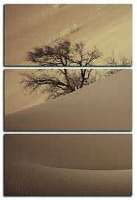 Obraz na plátne - Červené piesočné duny - obdĺžnik 7133FB (90x60 cm  )