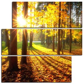 Obraz na plátne - Jesenný les - štvorec 3176D (105x105 cm)