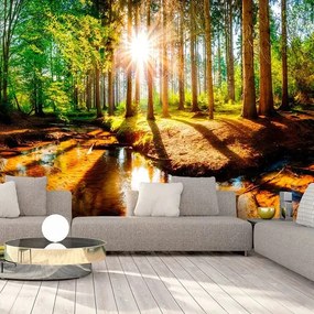 Fototapeta - Marvelous Forest Veľkosť: 300x210, Verzia: Premium