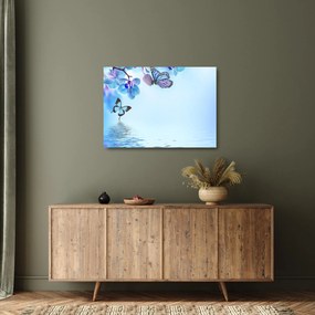 Sklenený obraz - Motýľ na kvetoch orchidey, modrý (70x50 cm)