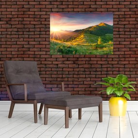Obraz - Letná krajina (90x60 cm)