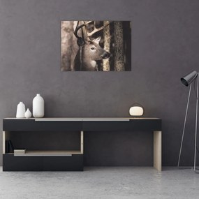 Obraz - Jeleň v lese (70x50 cm)
