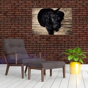 Obraz čierneho šteňaťa (90x60 cm)
