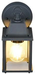 Nástenné vonkajšie svietidlo (výška 22,5 cm) Mirande – Trio