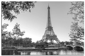 Obraz na plátne - Eiffel Tower 1110QA (60x40 cm)