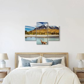 Obraz - Národný park Torres del Paine (90x60 cm)