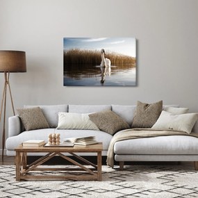 Obraz labute (90x60 cm)
