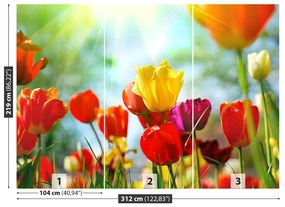 Fototapeta Vliesová Kvety tulipánov 208x146 cm