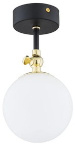 Argon 4003 - Kúpeľňový prisadený luster LATINA 1xE14/7W/230V IP44 čierna/mosadz