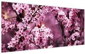 Obraz - Ružová sakura (120x50 cm)