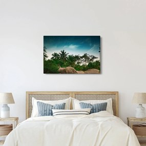 Obraz - palmy (90x60 cm)