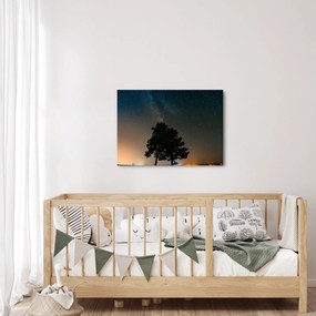 Obraz nočnej oblohy so stromami (70x50 cm)