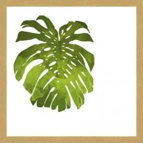 Rámovaný obraz Nordic Style 30x30 FAP435