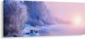 Obraz - Zamrznutá rieka (120x50 cm)