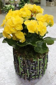 Sklenený kvetináč s prírodnými prvkami 19cm