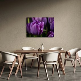 Sklenený obraz kvetov tulipánov (70x50 cm)