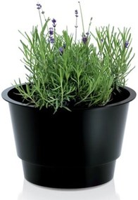 Prosperplast INSERT vložka do kvetináča 27,5x17,4cm IWKO280