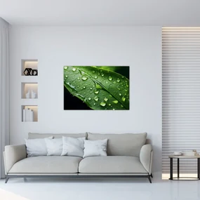Obraz - List po daždi (90x60 cm)