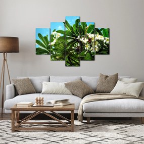 Obraz - Plumeria (150x105 cm)