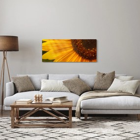 Obraz - Slnečnica (120x50 cm)