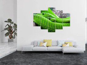 Obraz zelených hadov (150x105 cm)