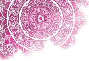 Manufakturer -  Tapeta pink mandala
