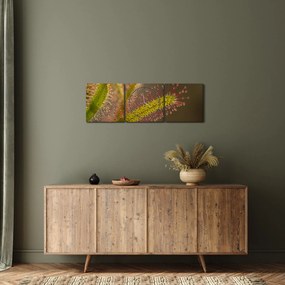 Obraz rastliny (s hodinami) (90x30 cm)